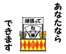 17529458
