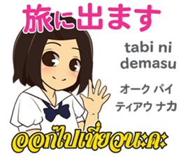 17537736