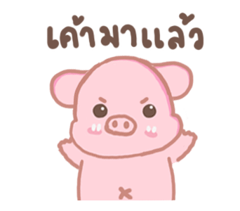 พิกกิโกะ รูปที่ 8