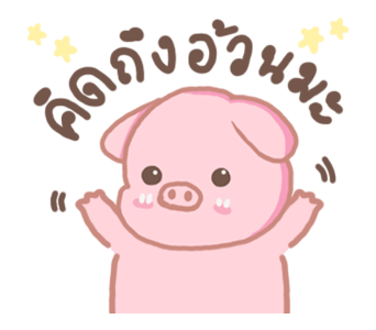 พิกกิโกะ รูปที่ 13