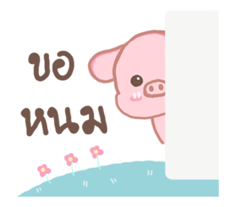 พิกกิโกะ รูปที่ 22