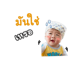 17550419