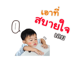 17550421
