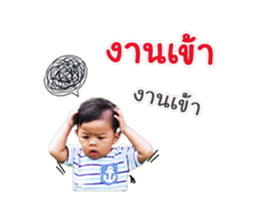 17550423