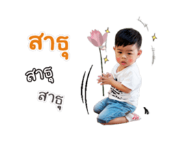 17550424