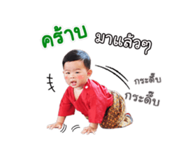 17550425