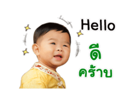 17550427