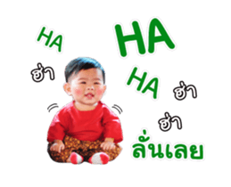 17550428