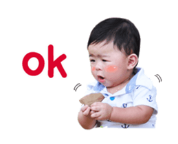 17550431