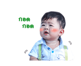 17550440