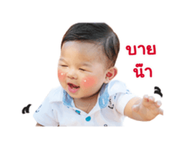 17550441