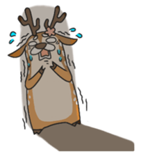 1755733