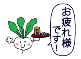 17567935