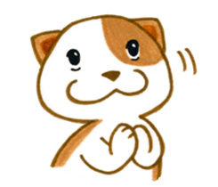 17568733