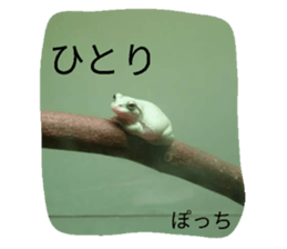 17569465