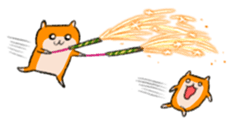 17570269