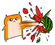 17570271