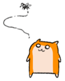 17570274