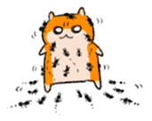 17570279