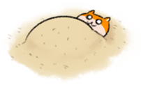 17570290