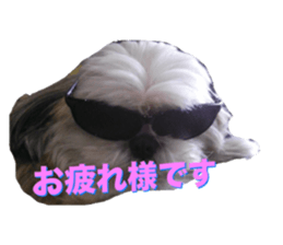 17575645