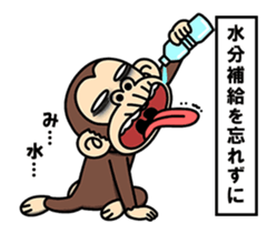 17580897