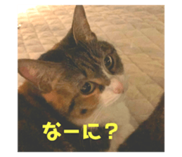 175887738