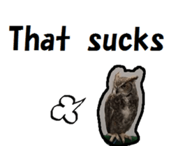17589743