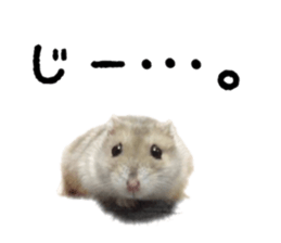 17593497