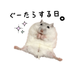 17593505