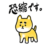 176060567