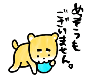 176060576