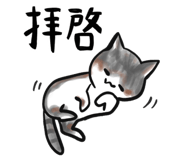 176060586