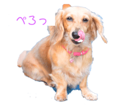 176088494