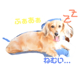 176088499