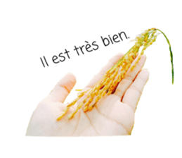 17612172