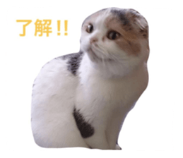 17612721