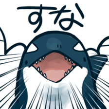 176153974