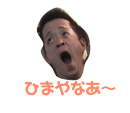 176163923