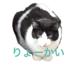 176169692