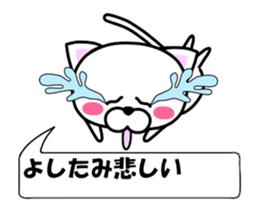 176203107