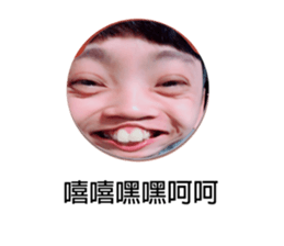 176206039
