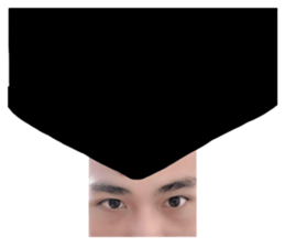 176206044