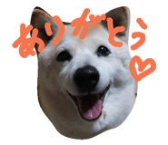 17621874