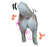 17621879