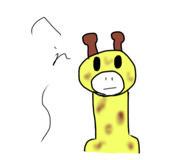 17622090