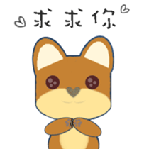 17625538
