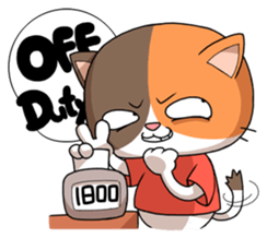 1762803