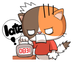 1762804