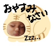 176290610